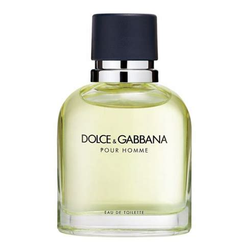 dolce & gabbana cologne for men|dolce models list.